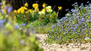 Matrix planting, scopri la nuova tendenza 2025 per le bordure da giardino