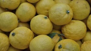 Yuzu, l’agrume giapponese che sembra un limone, ma non lo è