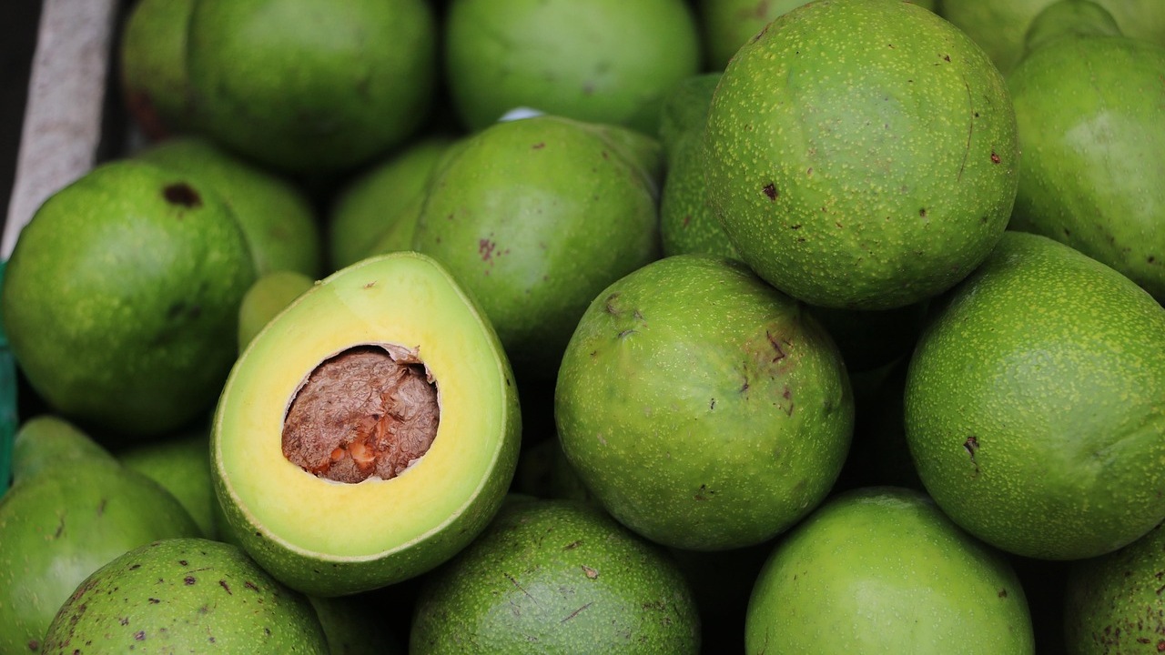 Avocado al mattino: perché mangiarlo?