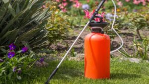 L’urea è il segreto principale per avere un giardino pulito, libero da malattie e parassiti